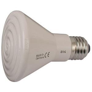 Globe Ceramic Infrared 250w