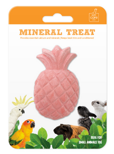 Avian Care Mineral Stone Pineapple