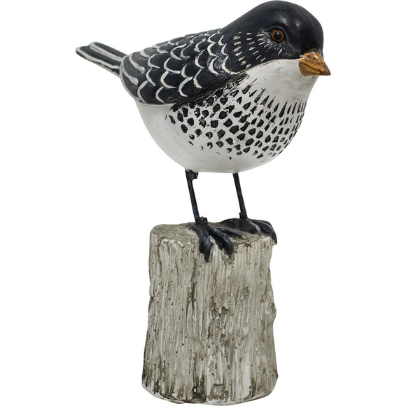 Bird on Stump