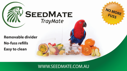 Seedmate Tray Mate NEW!