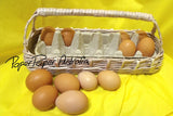 Egg Collection Basket by PaperPaper Australia  - Multiple Colours and Sizes!