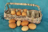 Egg Collection Basket by PaperPaper Australia  - Multiple Colours and Sizes!