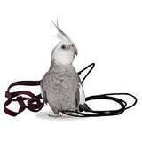 The Aviator Harness and Leash - Petite