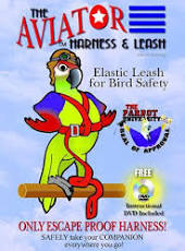 The Aviator Harness + Leash -Xtra Large