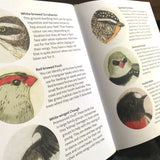 The Bush Birds, A Children's Lift the Flap Book by Bridget Farmer