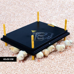 Poultry Chick Warmer Brooder Heat Plate - 50cm x 40cm (40 - 45 Chicks)