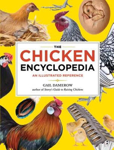 The Chicken Encyclopedia by Gail Damerow